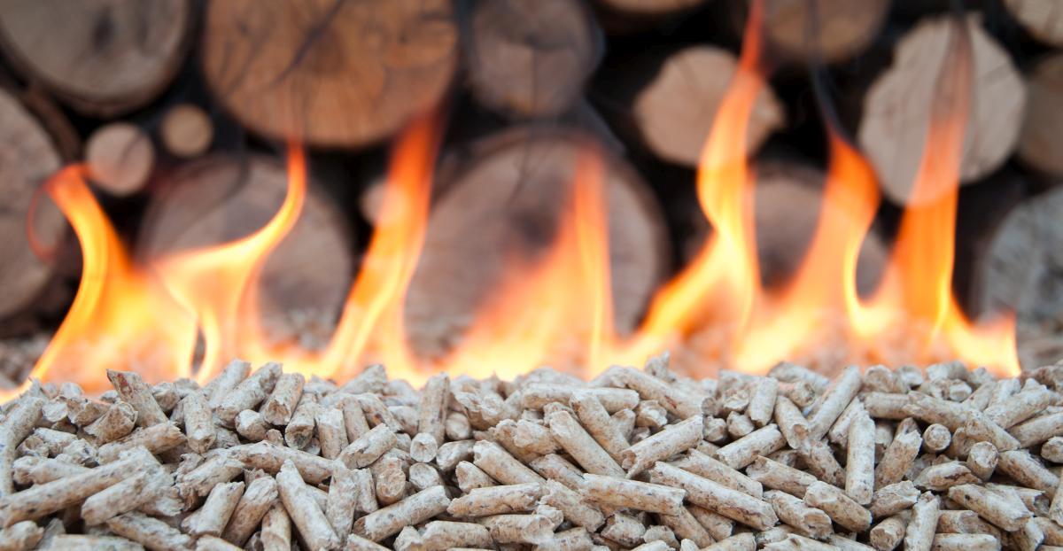 Le Biomasse come Fonte Chiave di Energia Sostenibile